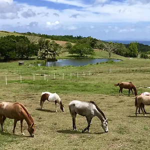 la-ferme-des-etangs.comcaribbean.com/